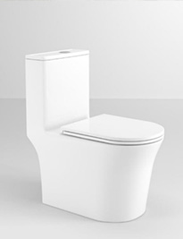 Tornado Washdown Toilet-GOSE