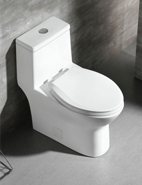 CUPC One-piece Toilet-GOSE